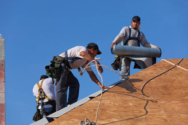 Best Flat Roof Repair Services  in Ellijay, GA