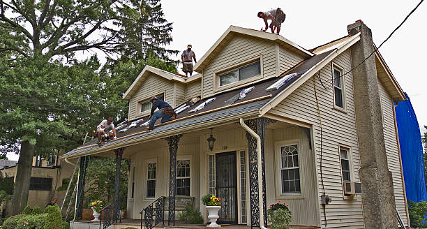 Best Roof Gutter Cleaning  in Ellijay, GA
