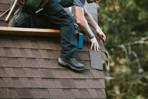 Best Roof Repair Services  in Ellijay, GA